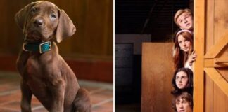 Netflix Scooby-Doo live-action