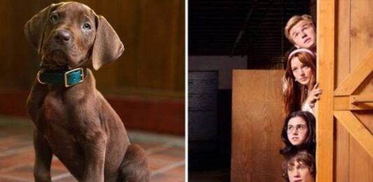 Netflix Scooby-Doo live-action