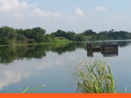 Plantas eléctricas subacuáticas Lago de Valencia
