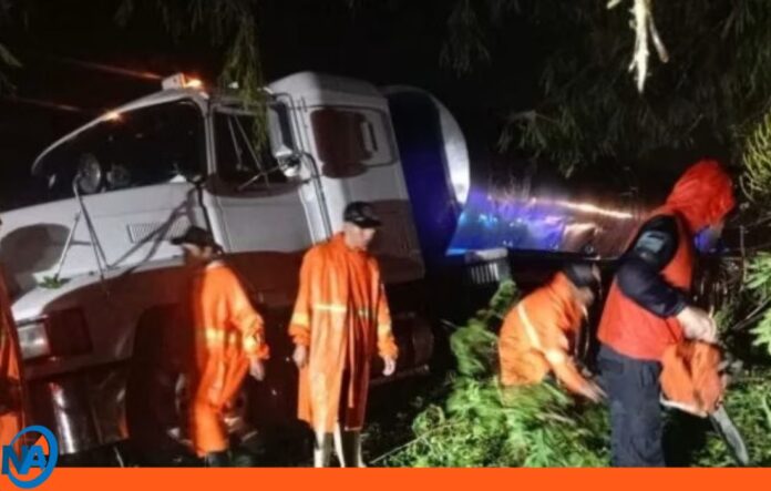 Portuguesa caída de árbol lluvias Portuguesa caída de árbol lluvias