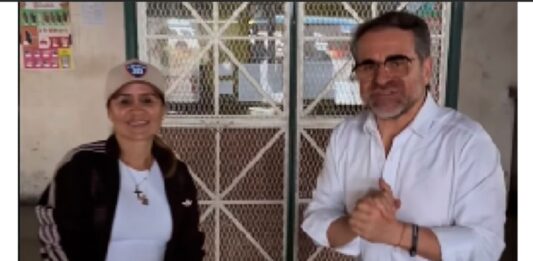 Remodelación Mercado Periférico de Valencia