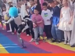Robot humanoide golpea niño