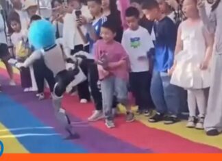China suspende show tras agresión de un robot humanoide a un niño Robot humanoide golpea niño