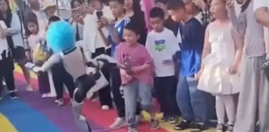Robot humanoide golpea niño