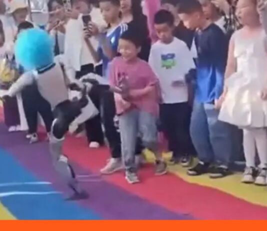 Robot humanoide golpea niño