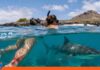 Ecuador: Tiburón ataca a una ciudadana durante un tour Turista australiana tiburón