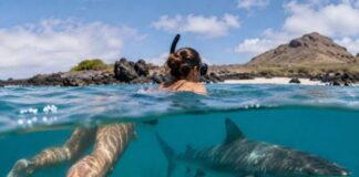 Turista australiana tiburón