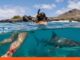 Ecuador: Tiburón ataca a una ciudadana durante un tour Turista australiana tiburón