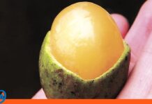 niño falleció pepa de mamón Guanare