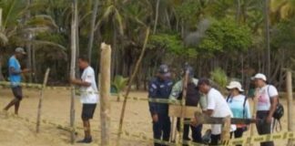 nuevos nidos de tortugas Aragua