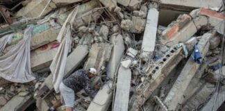 terremoto Venezuela fallecidos