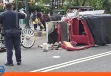 turista carruaje caballos Nueva York