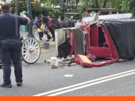 turista carruaje caballos Nueva York