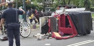 turista carruaje caballos Nueva York