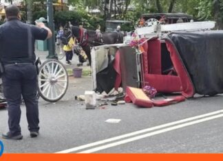 turista carruaje caballos Nueva York