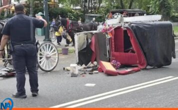 turista carruaje caballos Nueva York