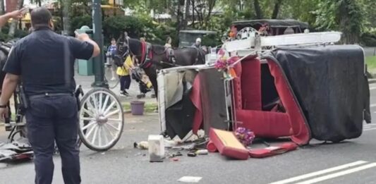 turista carruaje caballos Nueva York