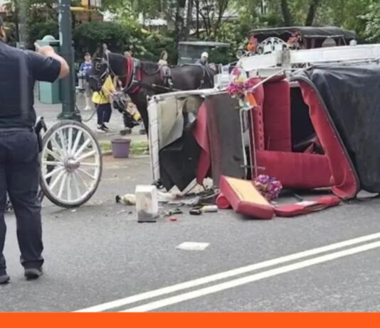 turista carruaje caballos Nueva York