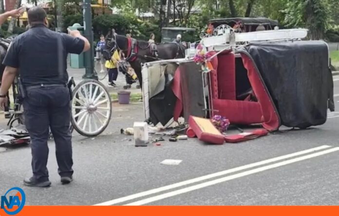 turista carruaje caballos Nueva York