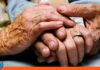26 de julio el Día de los Abuelos: Una fecha para celebrar el amor sin condiciones Día de los Abuelos