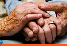 26 de julio el Día de los Abuelos: Una fecha para celebrar el amor sin condiciones Día de los Abuelos