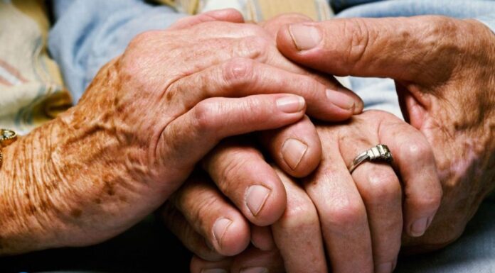 26 de julio el Día de los Abuelos: Una fecha para celebrar el amor sin condiciones Día de los Abuelos