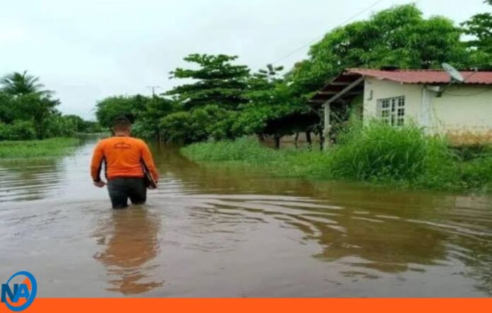 Desbordamiento caño Potrerito Portuguesa Desbordamiento caño Potrerito Portuguesa