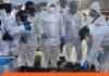 Cicpc despliega comisiones forenses para identificar a víctimas en La Guaira Cicpc identificar a víctimas La Guaira