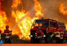 Francia combate graves incendios forestales en plena ola de calor Francia incendios forestales