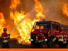 Francia incendios forestales