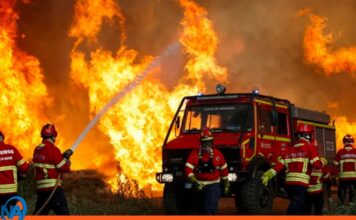 Francia combate graves incendios forestales en plena ola de calor Francia incendios forestales