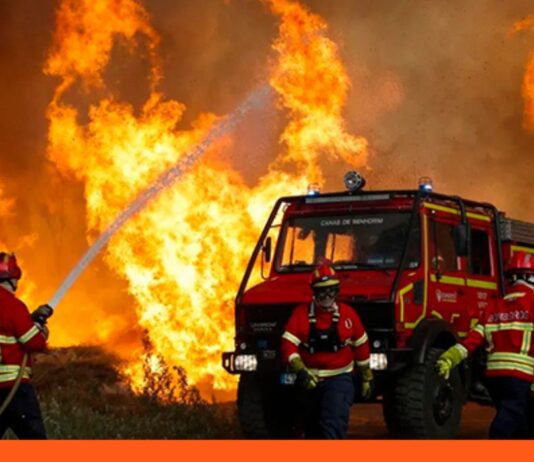 Francia incendios forestales