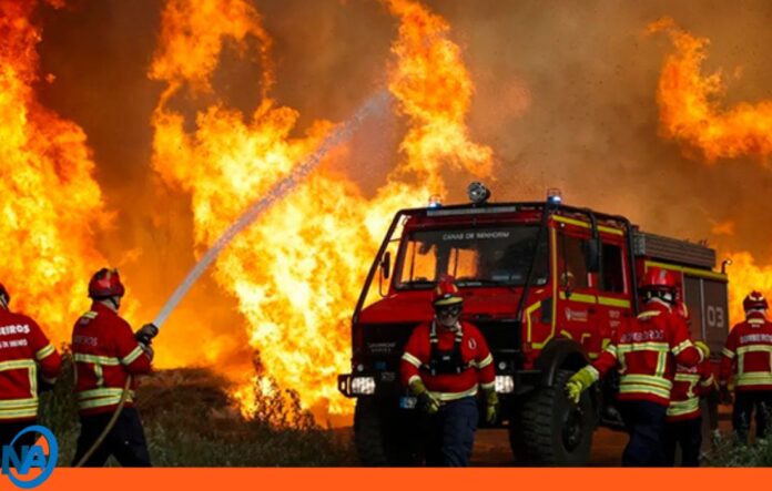 Francia incendios forestales