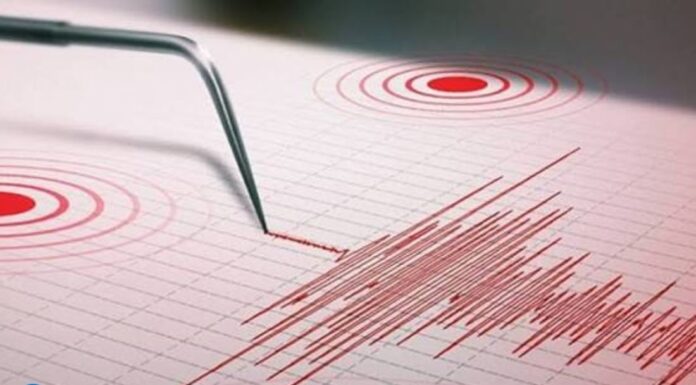 Funvisis reportó sismo de magnitud 3.1 con epicentro en Naiguatá Funvisis reporte sismo Naiguatá
