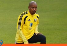 Encuentran sin vida al jugador sudafricano Jayden Adams Encuentran sin vida Jayden Adams