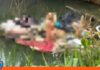Macabro hallazgo en Valencia: Localizan el cadáver de una mujer en la Autopista Sur Localizan cuerpo mujer Autopista Sur