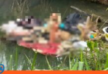 Localizan cuerpo mujer Autopista Sur
