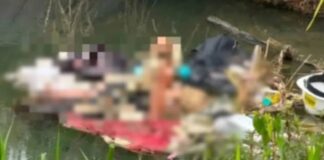 Localizan cuerpo mujer Autopista Sur