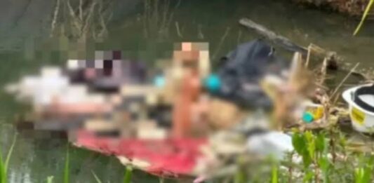 Localizan cuerpo mujer Autopista Sur
