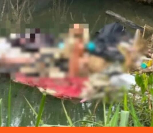Localizan cuerpo mujer Autopista Sur