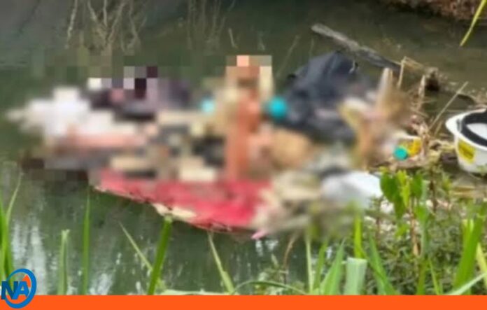 Localizan cuerpo mujer Autopista Sur Localizan cuerpo mujer Autopista Sur