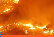 Ola de calor incendios España