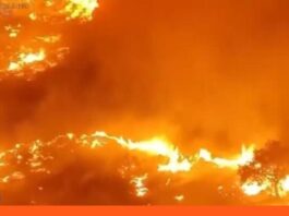 Ola de calor incendios España