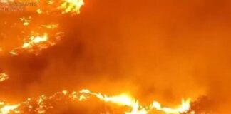 Ola de calor incendios España