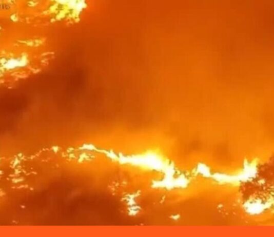 Ola de calor incendios España