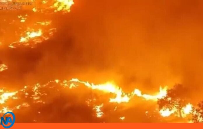 Ola de calor incendios España Ola de calor incendios España