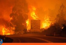 Portugal incendios forestales