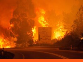 Portugal incendios forestales