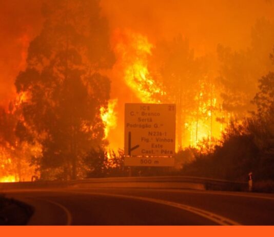 Portugal incendios forestales