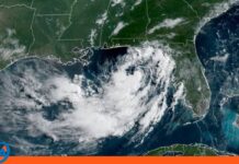 Alarma costera: Tormenta Bertha se intensifica en el golfo de México Tormenta Bertha